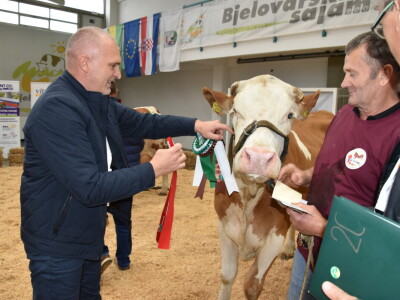 31. Državna stočarska izložba - najbolja hrvatska grla