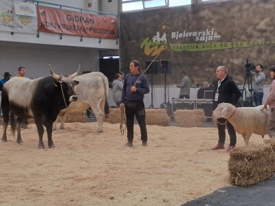 31. Jesenski međunarodni bjelovarski sajam