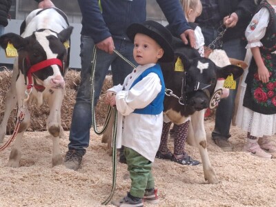 31. Jesenski međunarodni bjelovarski sajam