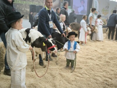 31. Jesenski međunarodni bjelovarski sajam