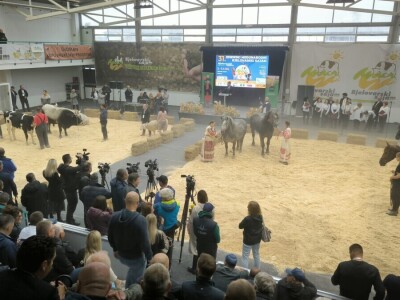 31. Jesenski međunarodni bjelovarski sajam