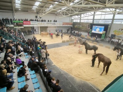 31. Jesenski međunarodni bjelovarski sajam
