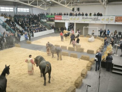 31. Jesenski međunarodni bjelovarski sajam