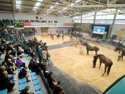 31. Jesenski međunarodni bjelovarski sajam