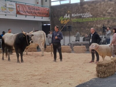 31. Jesenski međunarodni bjelovarski sajam