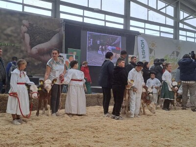 31. Jesenski međunarodni bjelovarski sajam