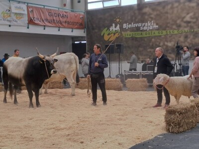 31. Jesenski međunarodni bjelovarski sajam