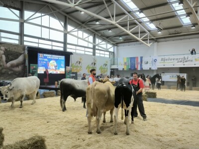 31. Jesenski međunarodni bjelovarski sajam