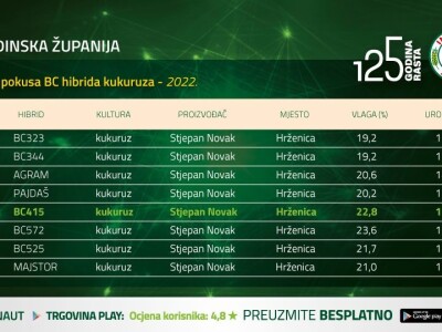 Županijski dan polja BC hibrida kukuruza