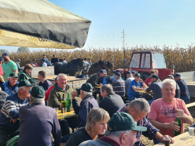 Županijski dan polja BC hibrida kukuruza
