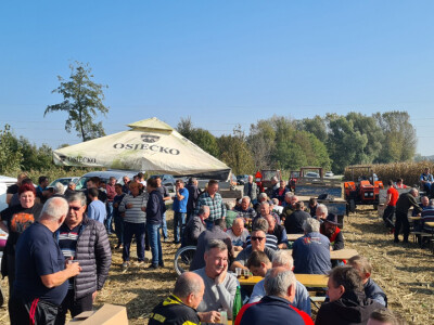 Županijski dan polja BC hibrida kukuruza