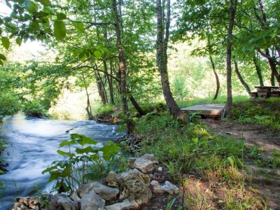 Nevenka Midžić - Plitvice