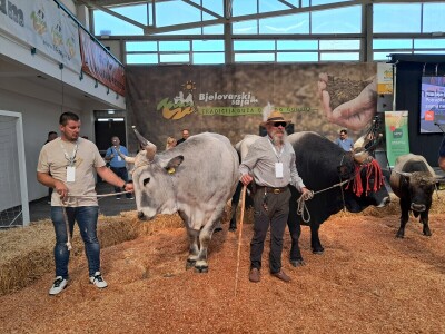 32. Državna stočarska izložba Gudovac