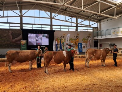 32. Državna stočarska izložba Gudovac