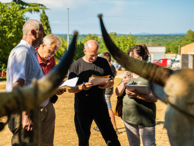 32. Jakovlja i Smotra istarskih volova u Kanfanaru
