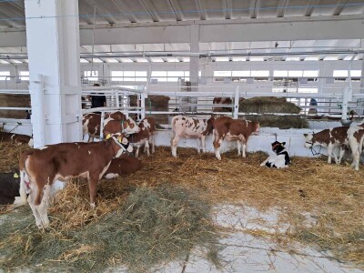 32. Jesenski međunarodni bjelovarski sajam