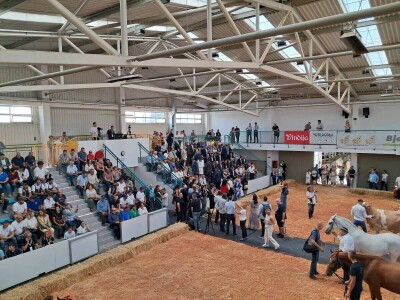 32. Jesenski međunarodni bjelovarski sajam