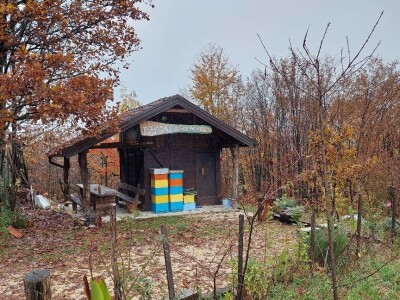 Pčelar, Mihajlo Gavrić