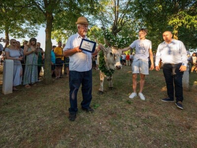 33. Jakovlja i Smotra istarskih volova - boškarina 33. Jakovlja i Smotra istarskih volova - boškarina