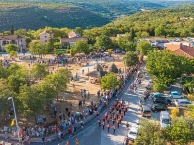 33. Jakovlja i Smotra istarskih volova - boškarina