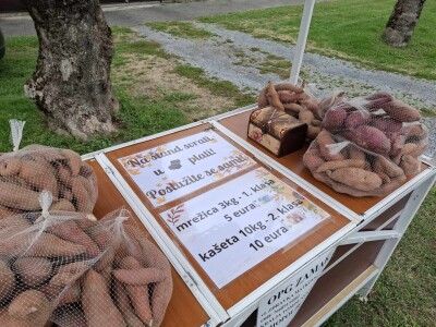 Prodaja batata Zdravke Matković na štandu bez prodavača u Suhopolju Prodaja batata Zdravke Matković na štandu bez prodavača u Suhopolju