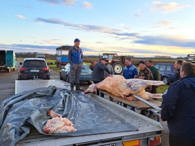 Srbačka traktorijada Srbačka traktorijada