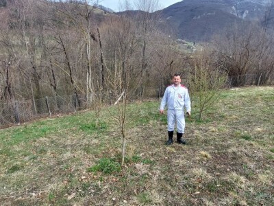 Predrag "spašava" pradjedovinu: Umjesto šiblja, lješnik! Predrag "spašava" pradjedovinu: Umjesto šiblja, lješnik!