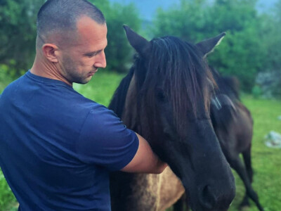 Ergela Šutalo Ergela Šutalo