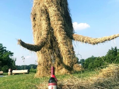 Mladi kuhar s vizijom - pokrenuo je OPG, osmislio brend i povukao bespovratnih 10 000 Eura