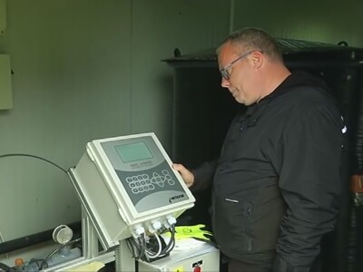 3,5 hektara zasađeno borovnicama