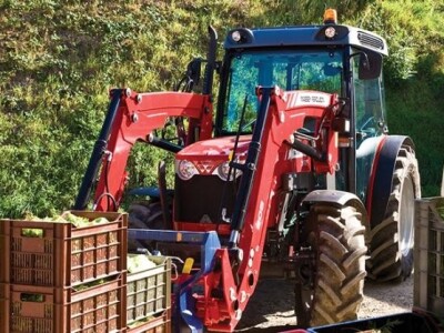 Traktor Massey Ferguson 3600