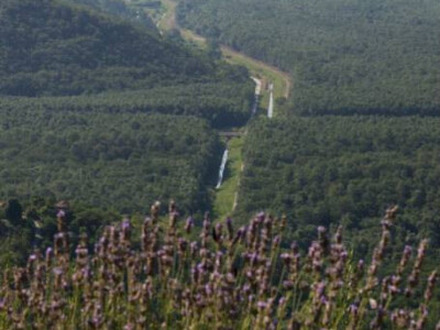 Pogled na dolinu Mirne