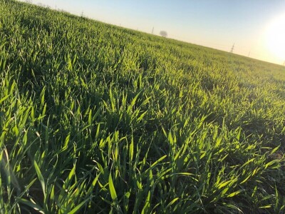 Navodnjavanje, Osječko-baranjska županija