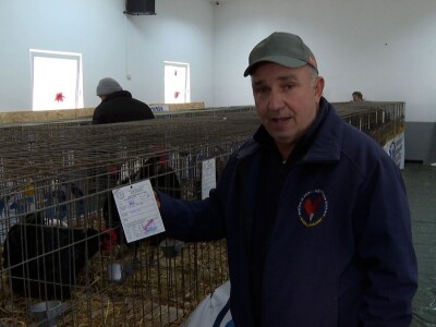 Australop sve popularniji na našem području