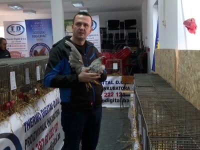 Australop sve popularniji na našem području