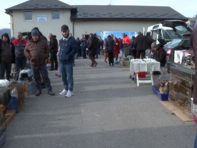 Australop sve popularniji na našem području