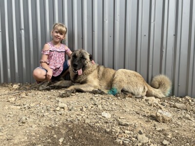 Tešija … ne objaviti još