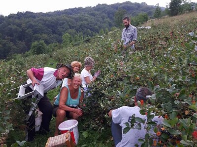 Poljoprivredno gazdinstvo „Aronija- Popović“ iz Banjaluke Poljoprivredno gazdinstvo „Aronija- Popović“ iz Banjaluke