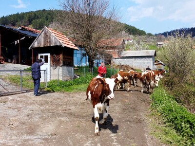 Seosko domaćinstvo "Crnjevo"