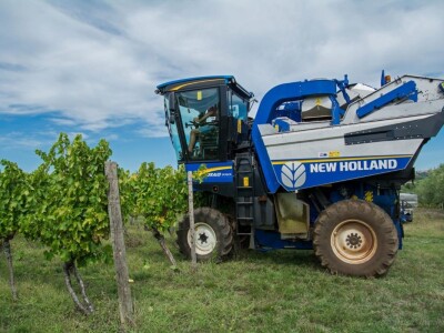 Strojno branje grožđa