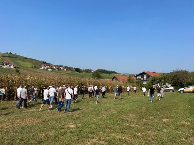"Dani polja kukuruza" u Velikoj Kladuši