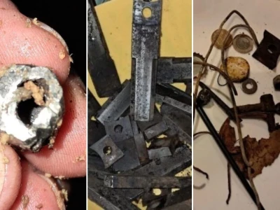 KULTURA BERBE I KVAROVI U ULJARAMA - Bobanović žrtvuje  vlastitu berbe i prerade  da bi pomogao maslinarima u nevoljii