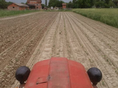 OPG Cetinić Frankos OPG Cetinić Frankos