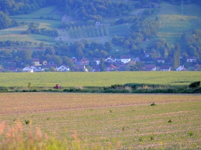 Proljeće u požeškom kraju