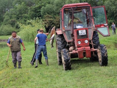 Pomor ribe u jakšičkom ribnjaku Pomor ribe u jakšičkom ribnjaku