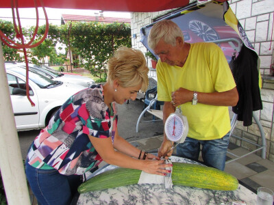 Darija i Drago važu jermenski krastavac