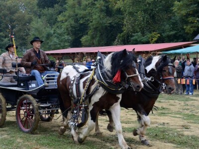 4. Međunarodna svetoivanjska konjička revija