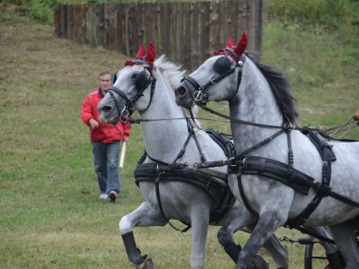 4. Međunarodna svetoivanjska konjička revija