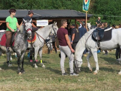 4. Međunarodna svetoivanjska konjička revija