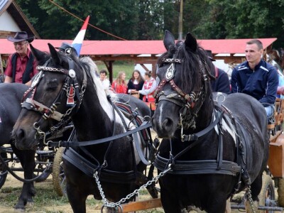 4. Međunarodna svetoivanjska konjička revija
